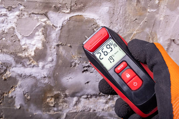 Trusted Roundup, MT Mold Removal Experts