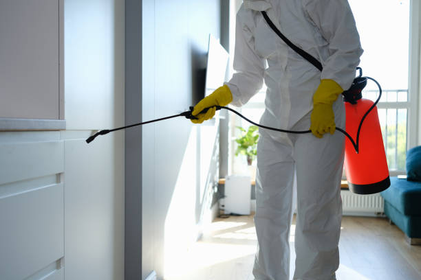 Best Residential Mold Removal  in Roundup, MT