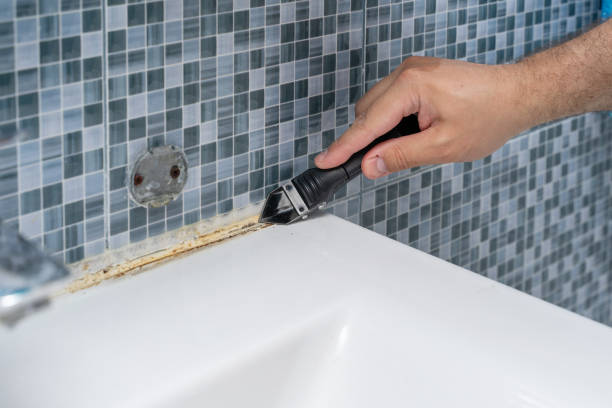 Best Black Mold Removal  in Roundup, MT
